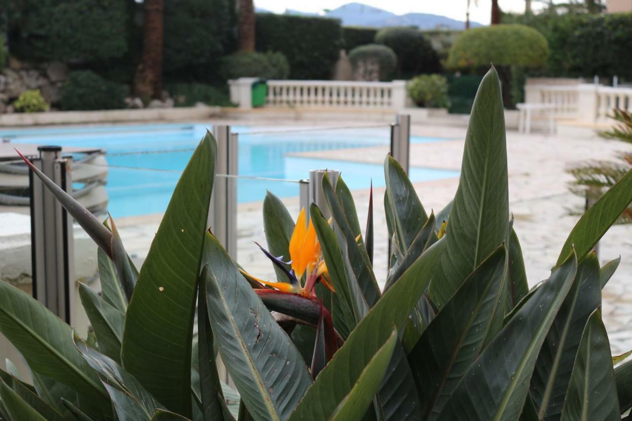 Appartement Palm D'Azur Cannes Exteriör bild
